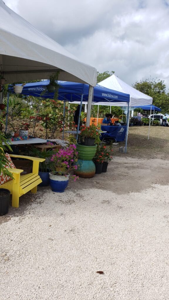 Sights Flower and Garden show 2022 Antigua Barbuda Horticultural