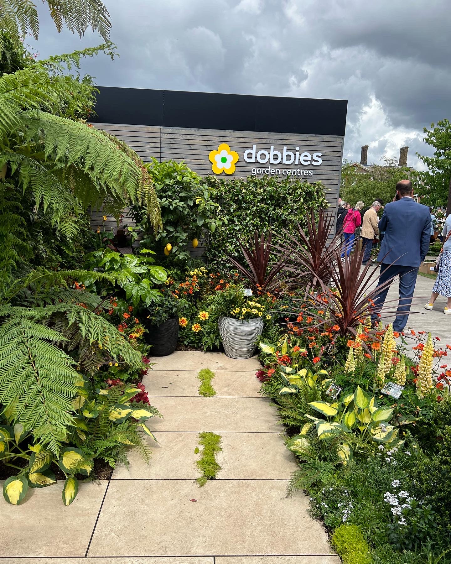 ABHS and Dobbies at RHS Chelsea Flower show 2022 Antigua Barbuda Horticultural Society, Agave